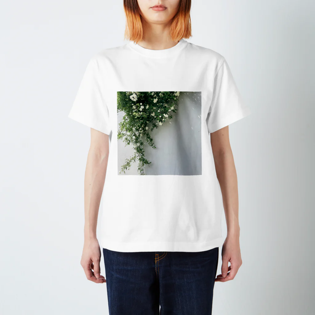 ampluieの木香薔薇 スタンダードTシャツ