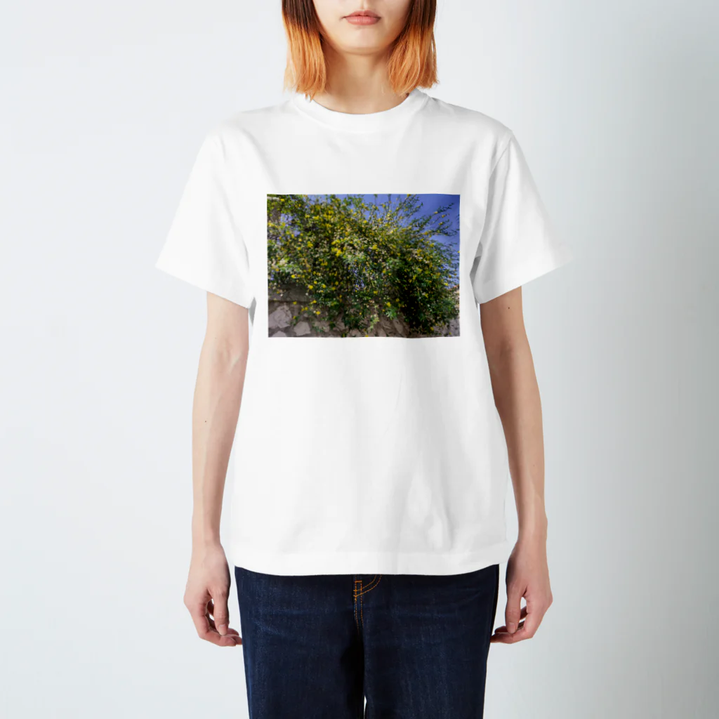 tkcoooのFleurs de Marseille Regular Fit T-Shirt