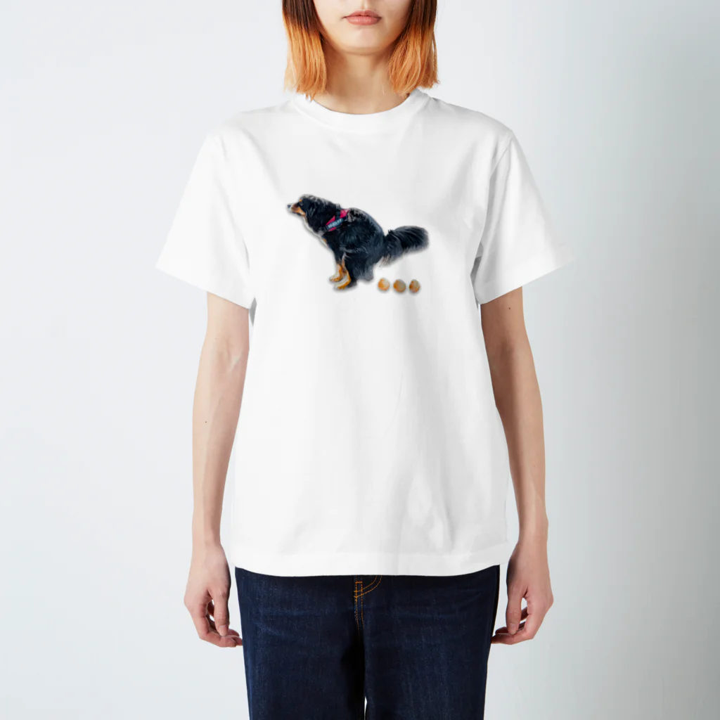 バーニーズマウンテンドッグのダンロのraruちゃん Regular Fit T-Shirt