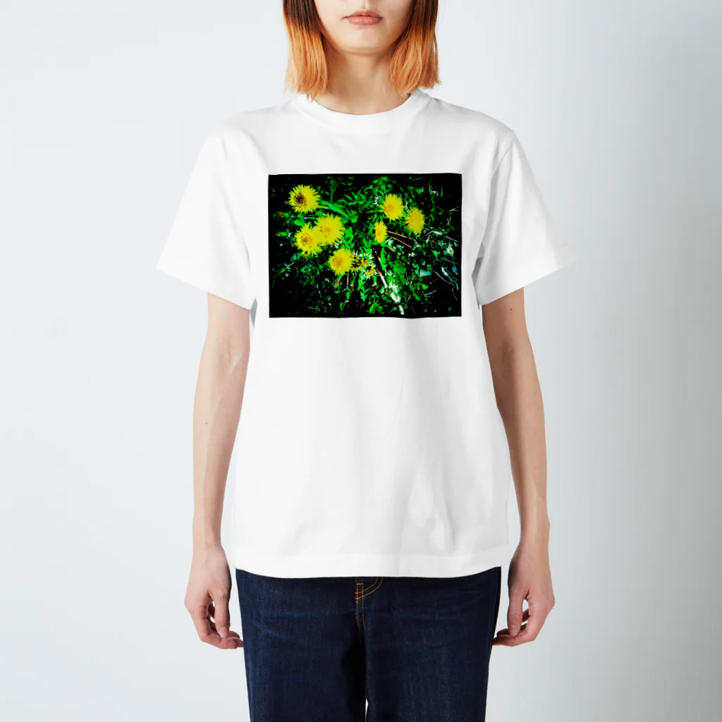 花水のたんぽぽ光 スタンダードTシャツ