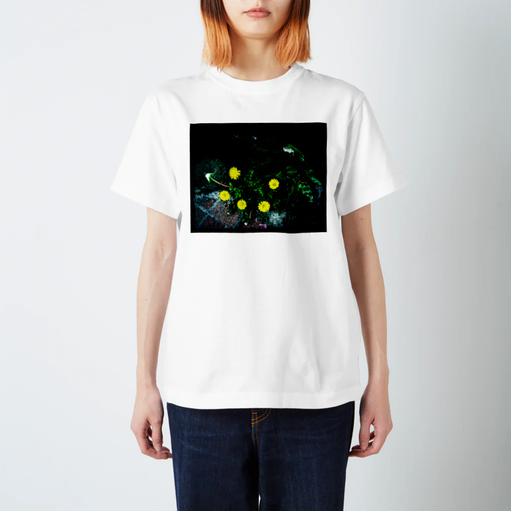 花水のたんぽぽ薄光 スタンダードTシャツ