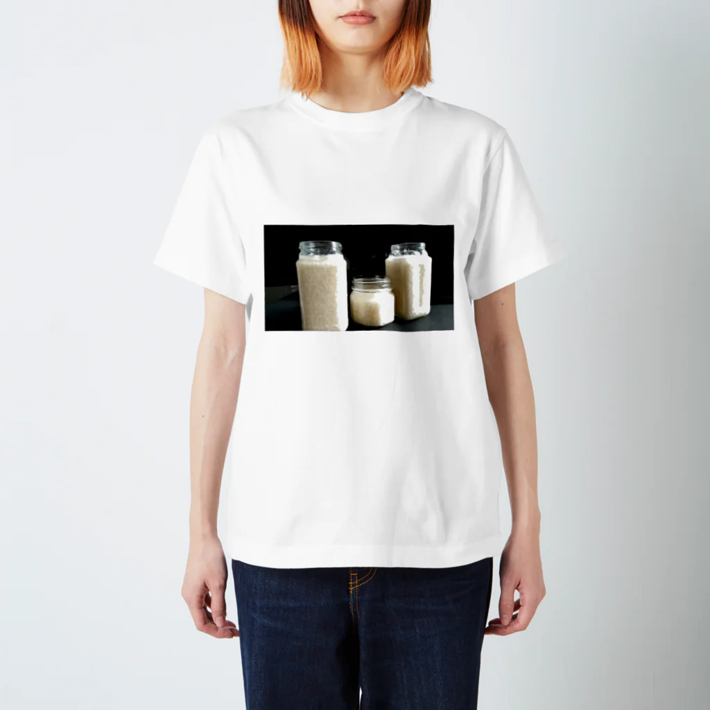 日常ピックアップの塩麹 Regular Fit T-Shirt