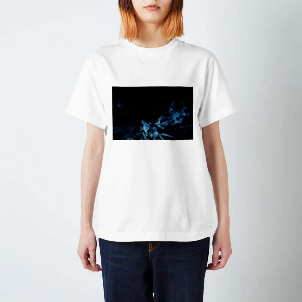 のりしおおパンティ🐉のジビエの骨 Regular Fit T-Shirt