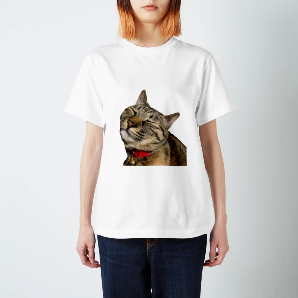 ねこまちランドのモカのお眠りタイム Regular Fit T-Shirt