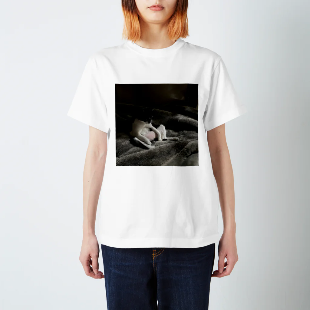 Link∞artのつかれたネコ Regular Fit T-Shirt