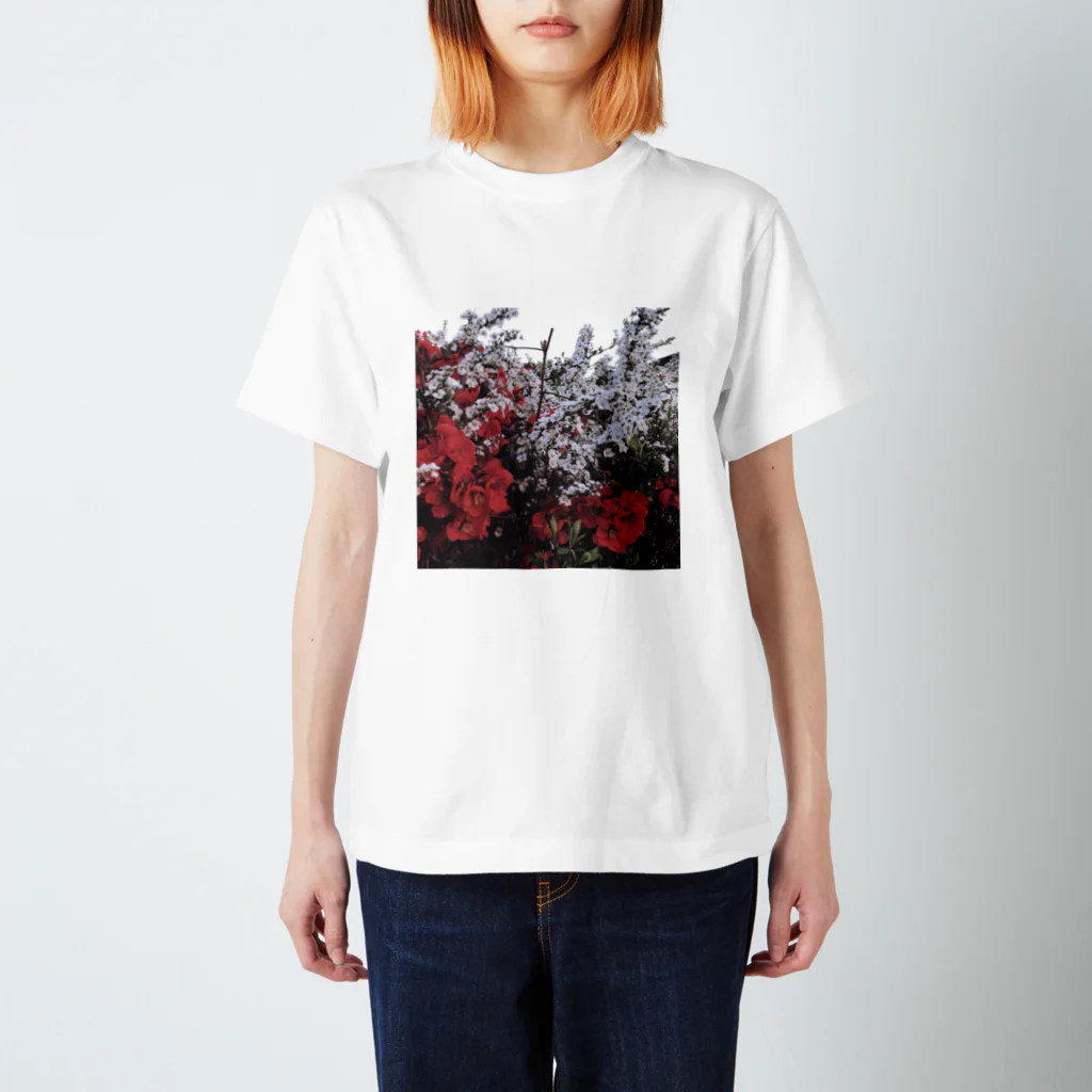 てふちゃんです。の雪柳と紅梅と空 Regular Fit T-Shirt