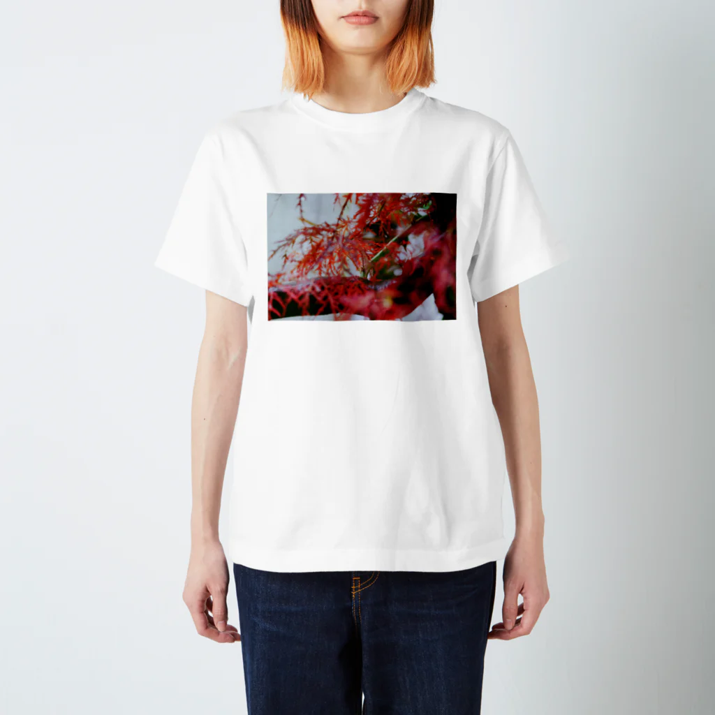 如夢幻の雨と紅葉 Regular Fit T-Shirt