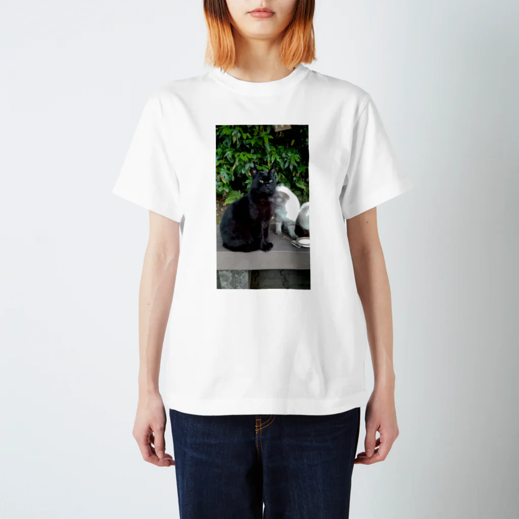 ニャーのクロぼん Regular Fit T-Shirt