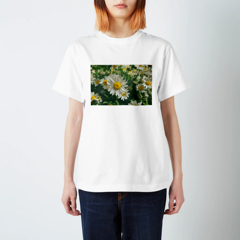 花畑写真館🌷の#1  白いお花 スタンダードTシャツ