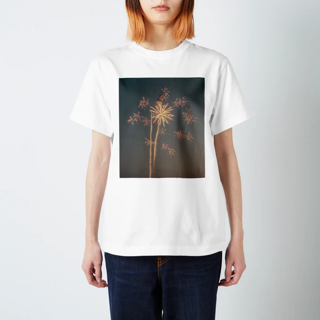 AwesomeのFireworks  Regular Fit T-Shirt