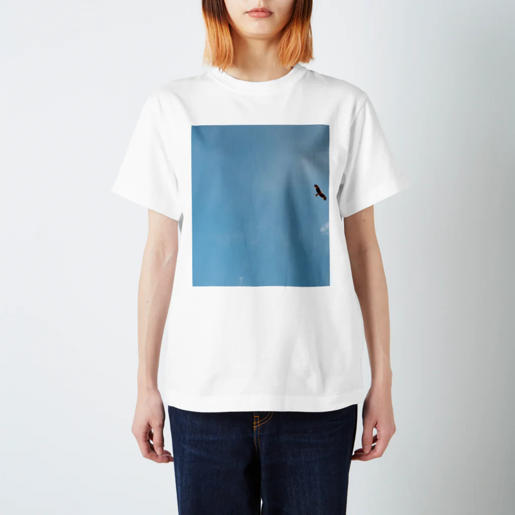 AwesomeのSky 2 Regular Fit T-Shirt