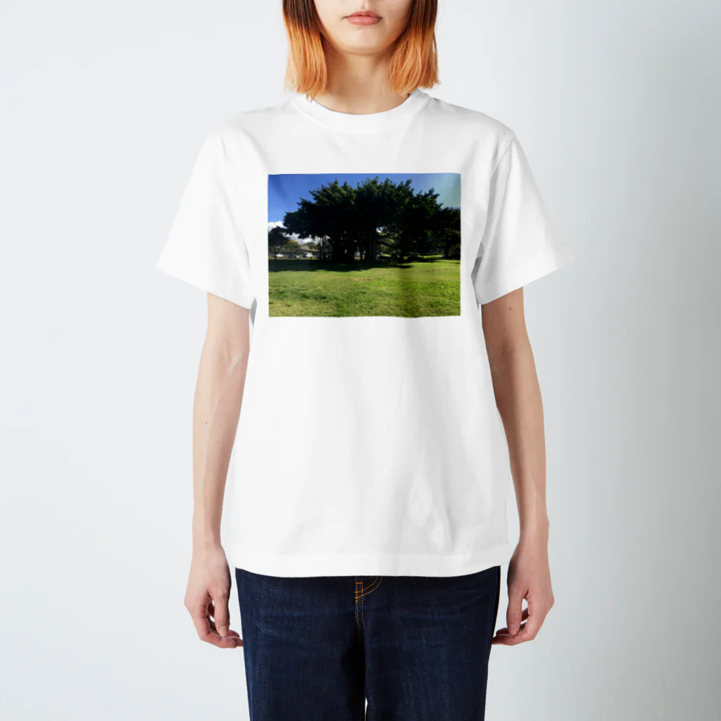 AIRSTANSEEのガジュマルの木 Regular Fit T-Shirt