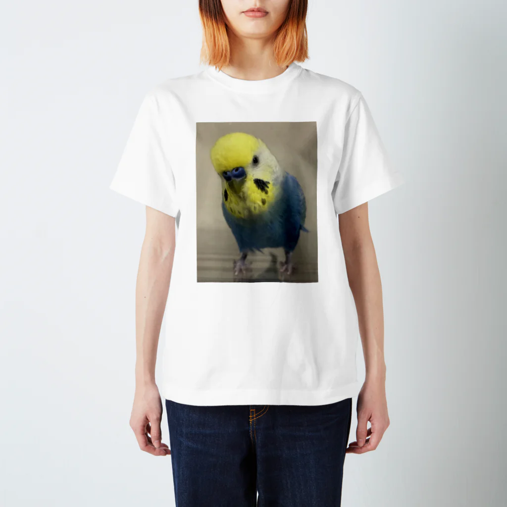 yukaのセキセイインコのボーちゃん Regular Fit T-Shirt