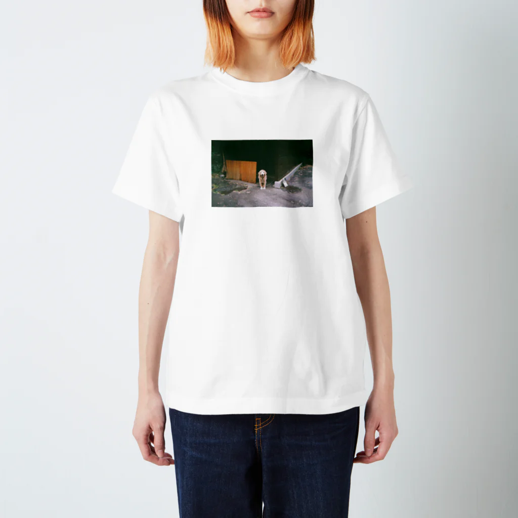 Filmの犬 スタンダードTシャツ