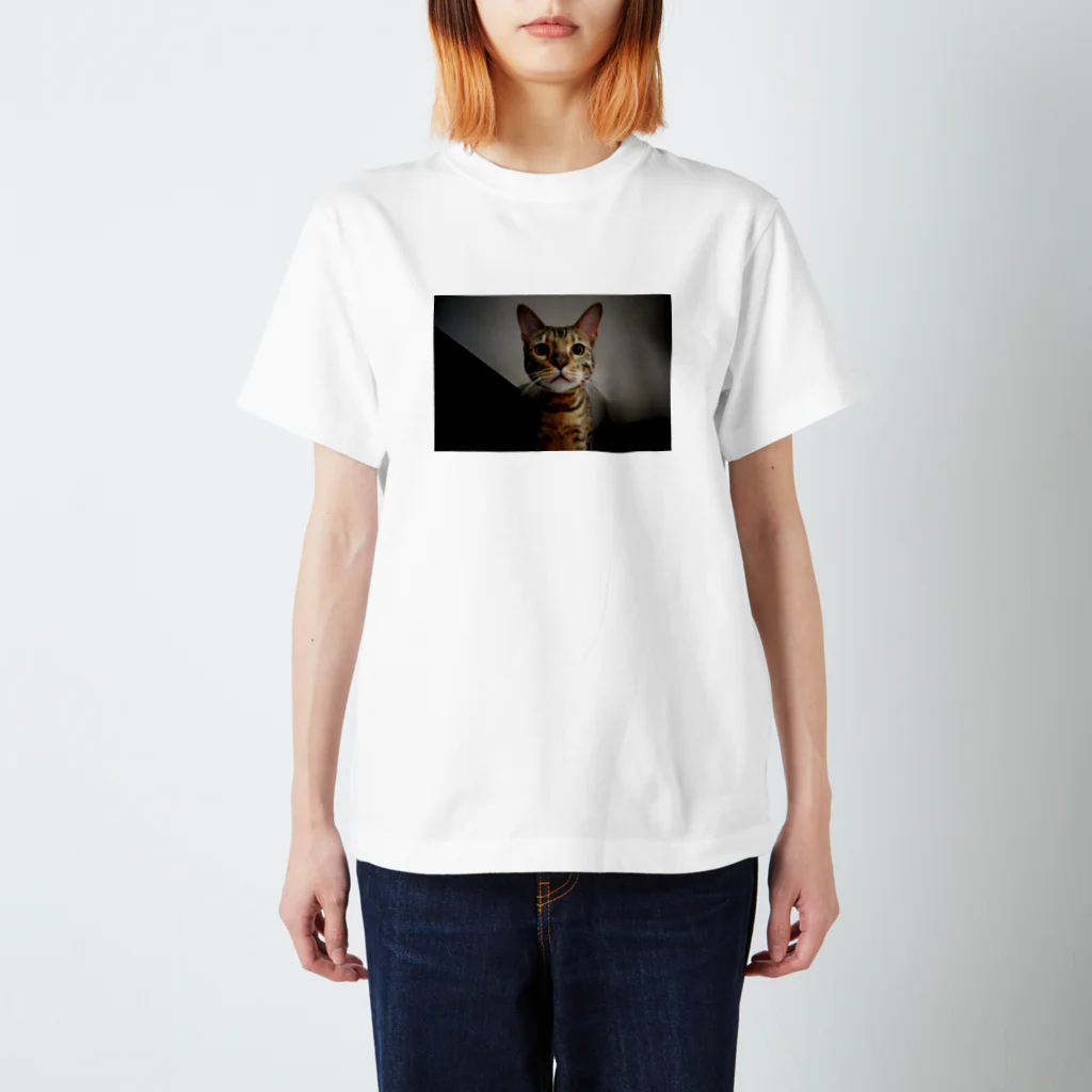 catとdogのBengal猫7 スタンダードTシャツ