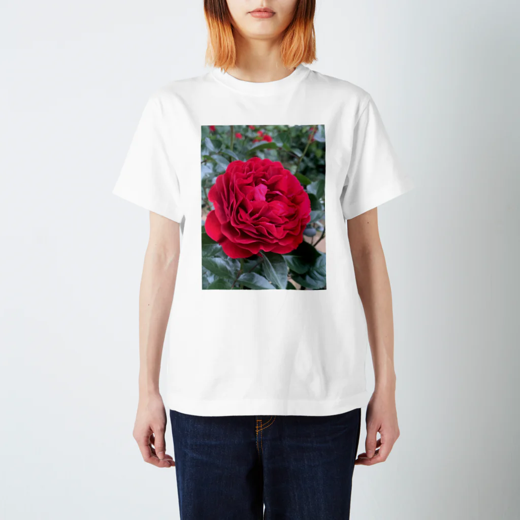 ｍａｔａ－ｔａｂｉの与野本町の薔薇 Regular Fit T-Shirt