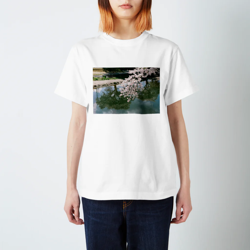フィルムカメラのある生活の花のある生活 #02 スタンダードTシャツ