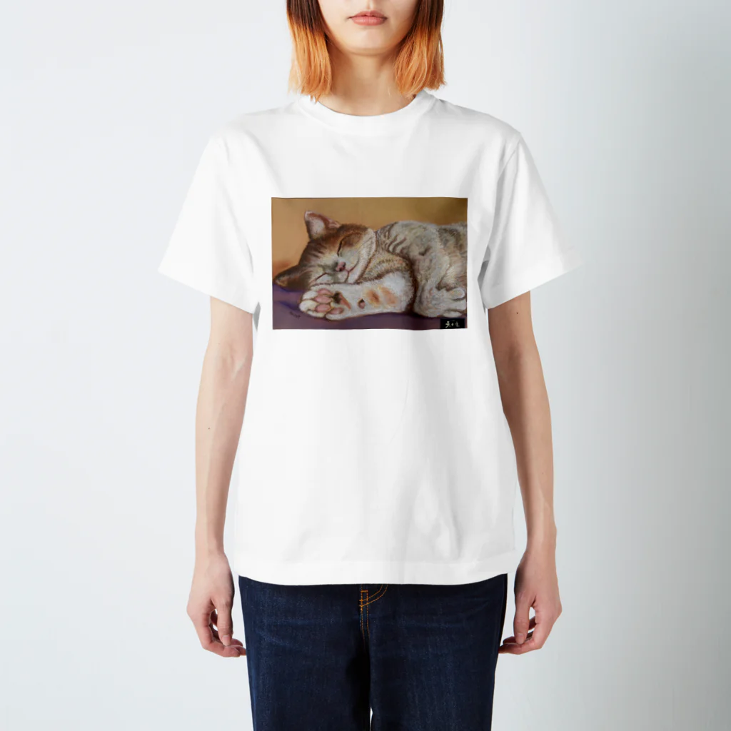 天女座の天女座にゃんこ Regular Fit T-Shirt