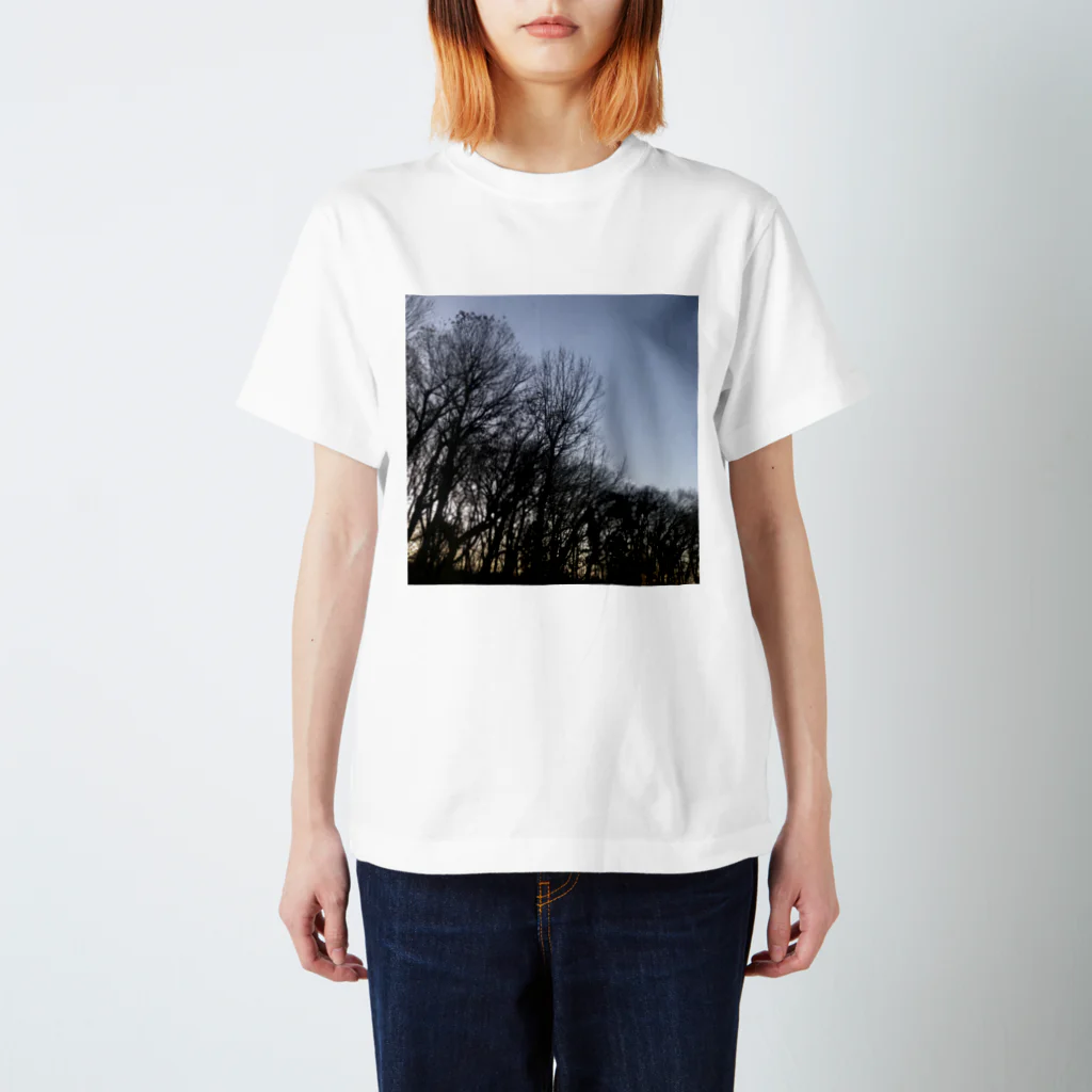 あるふぁよこ→の木立 Regular Fit T-Shirt