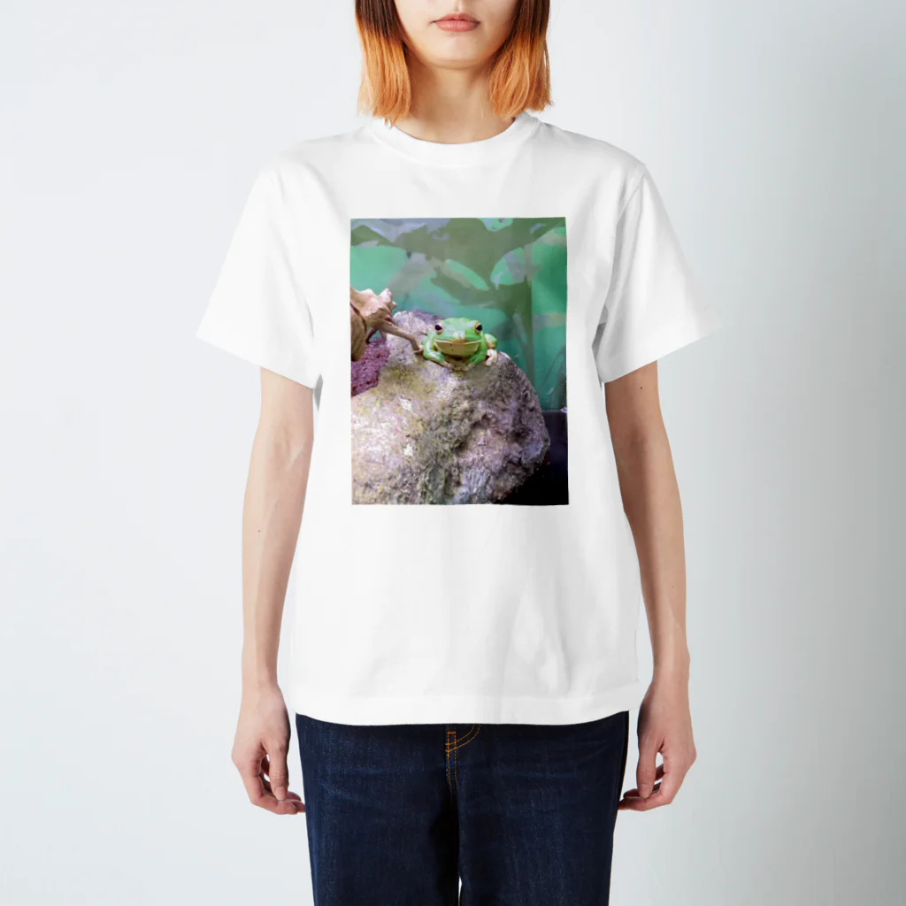 kopanの虹の世界のご利益があるカエルさん スタンダードTシャツ