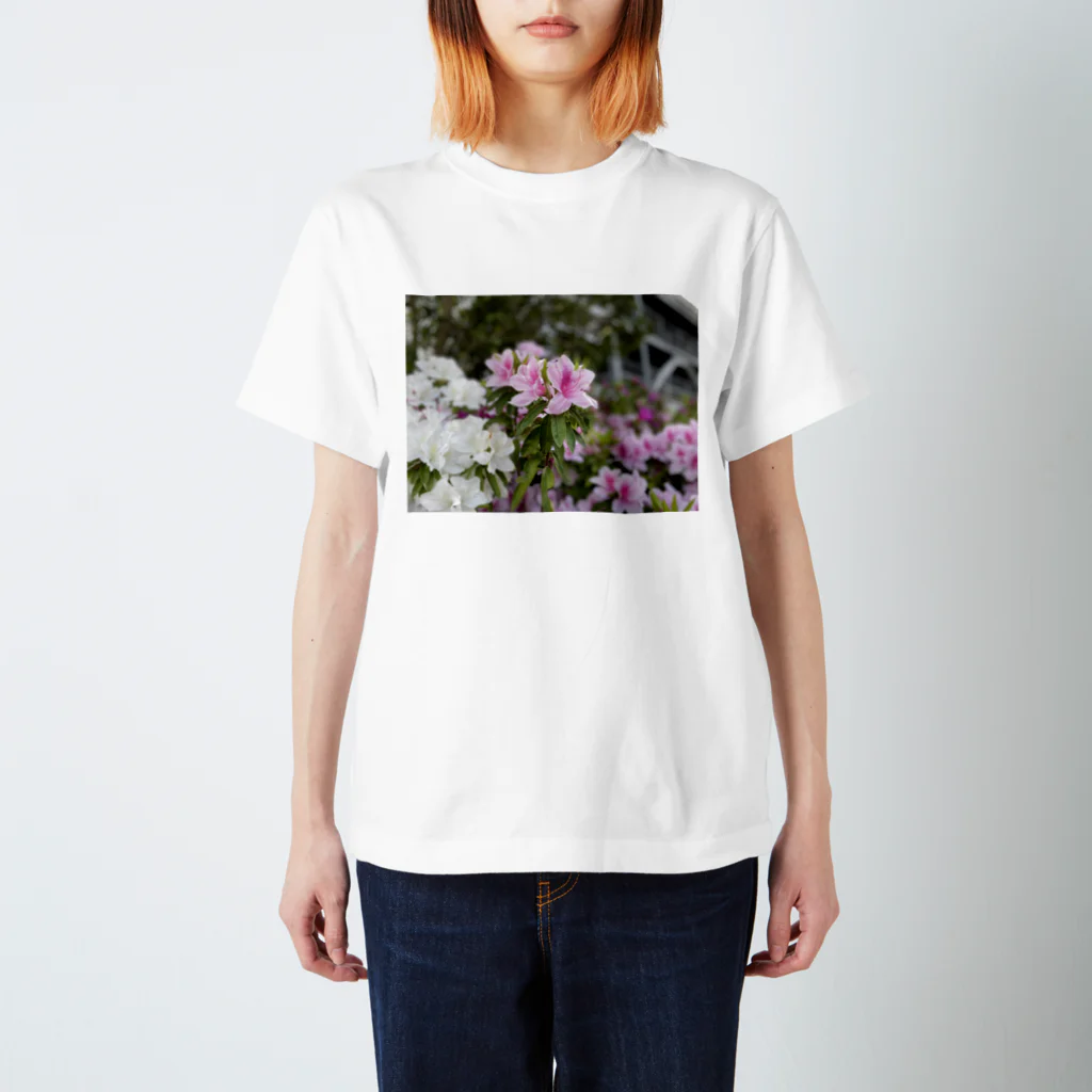 °だるまの花 スタンダードTシャツ