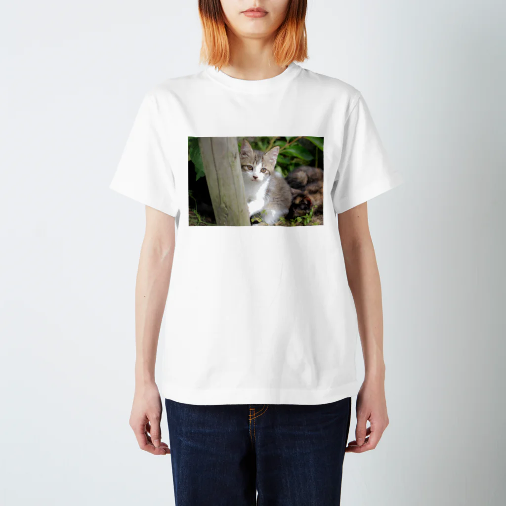 kawaii-keiのそっと様子をうかがう猫ちゃん スタンダードTシャツ