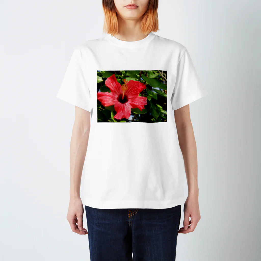 kawaii-keiのハイビスカス Regular Fit T-Shirt