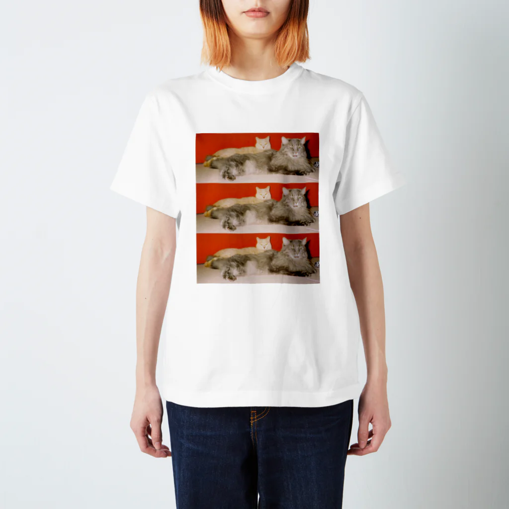 kairi nagashimaのmycats Regular Fit T-Shirt