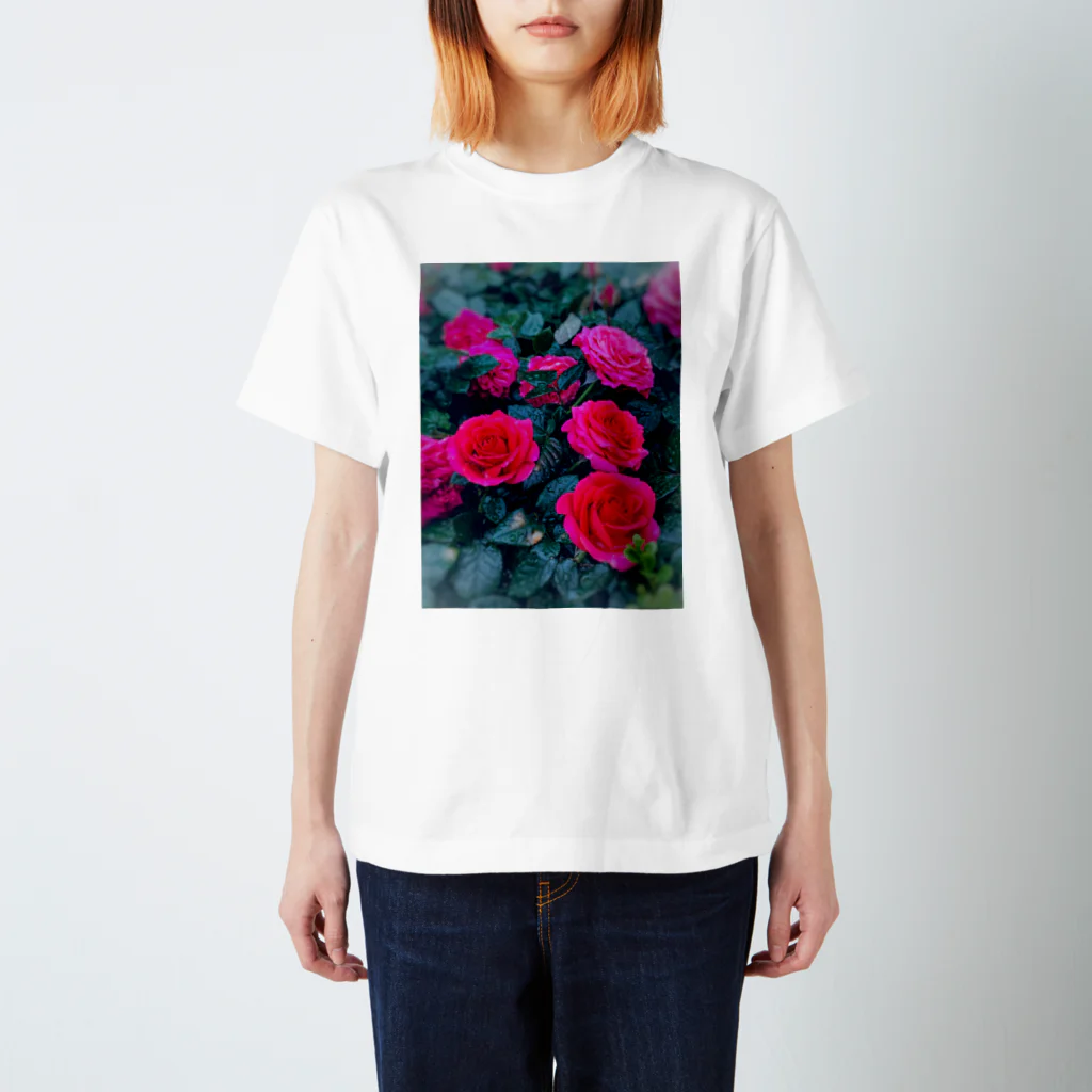ナスタチウムのお花図鑑の雨の日のバラの世界 スタンダードTシャツ