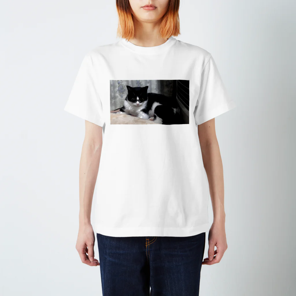 あまのふくまる Regular Fit T-Shirt