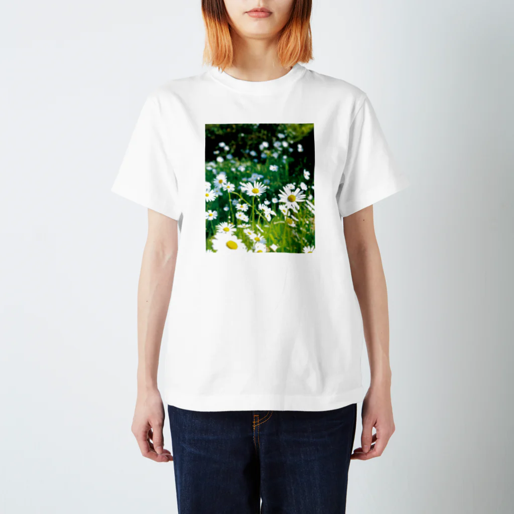 akane_art（茜音工房）の癒しの風景（シャスタデイジー） スタンダードTシャツ