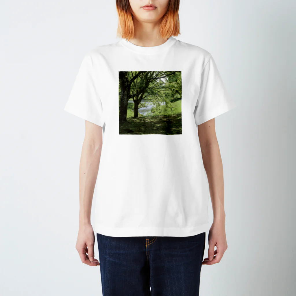 akane_art（茜音工房）の癒しの風景（樹木） スタンダードTシャツ