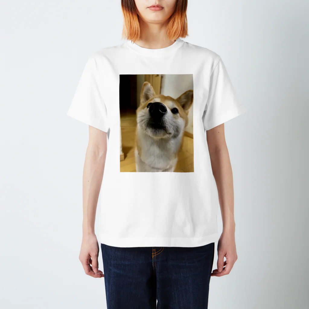 笛ガムの近犬 スタンダードTシャツ