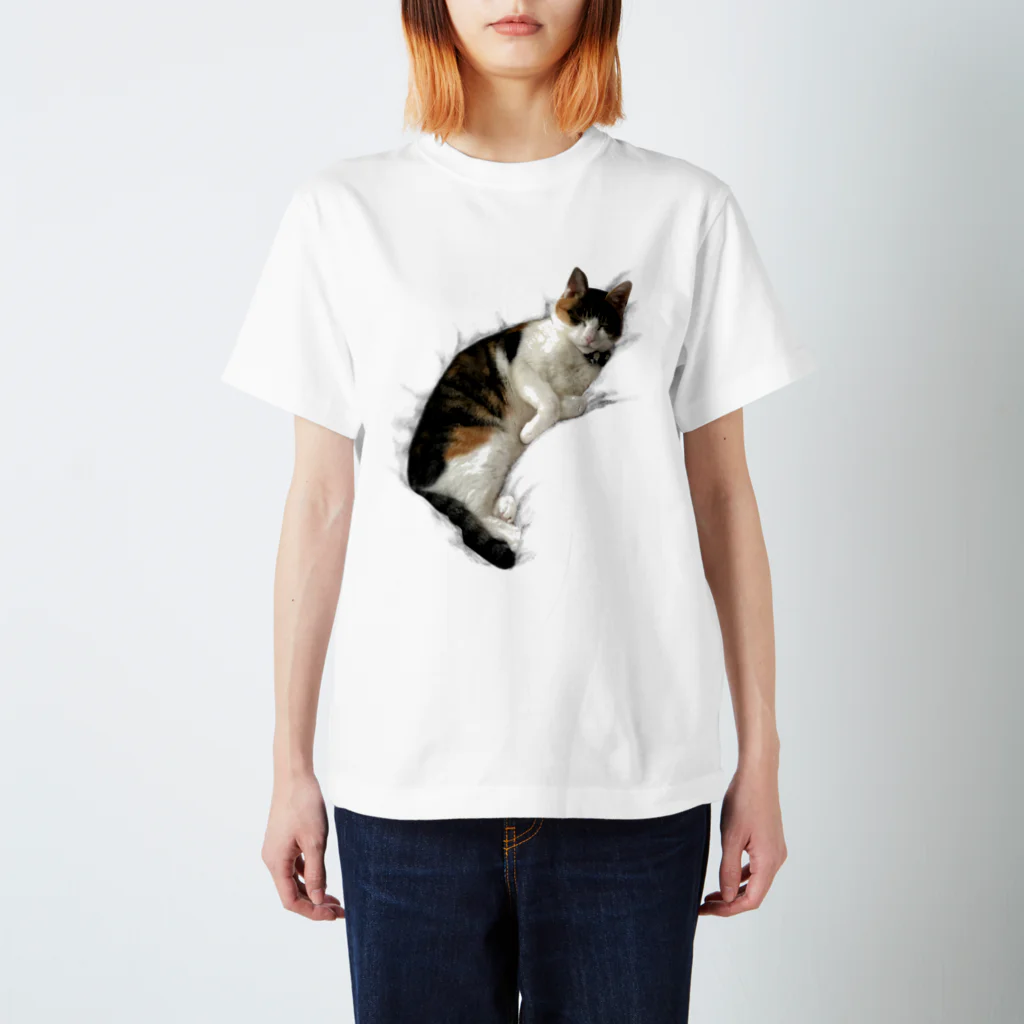 とある三匹の猫のねむる猫 スタンダードTシャツ