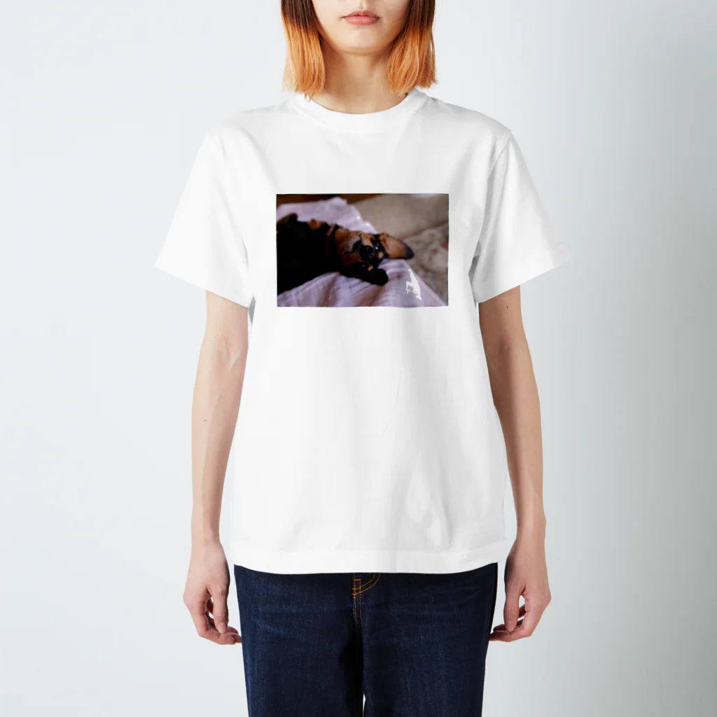 ささぴかいぬしのまっくん Regular Fit T-Shirt