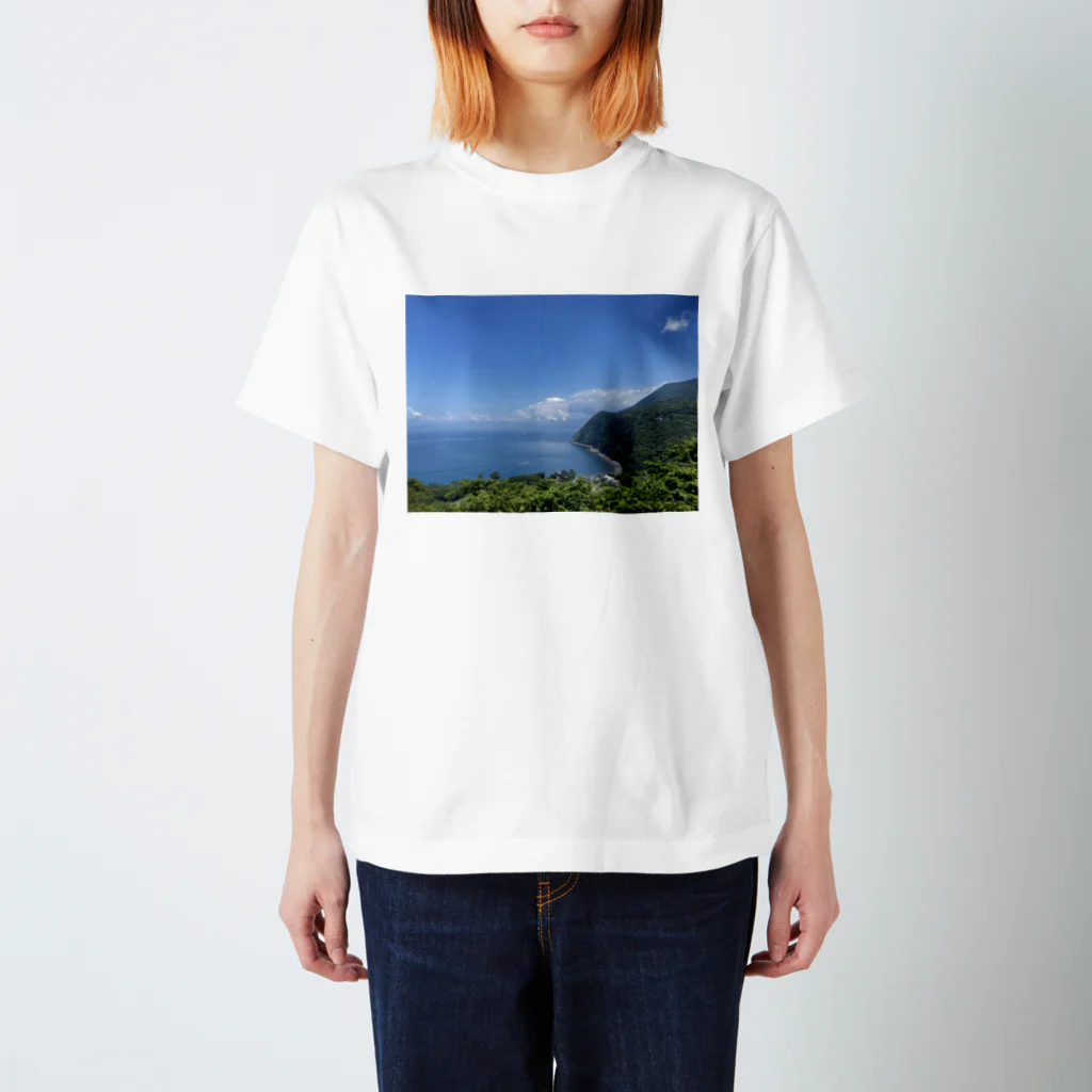 たーぬんの海岸の風景 スタンダードTシャツ