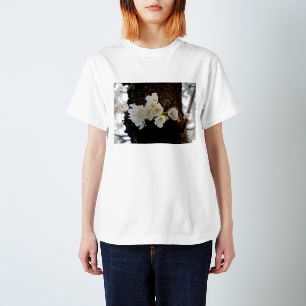 愛自然写真の桜(アップ) Regular Fit T-Shirt
