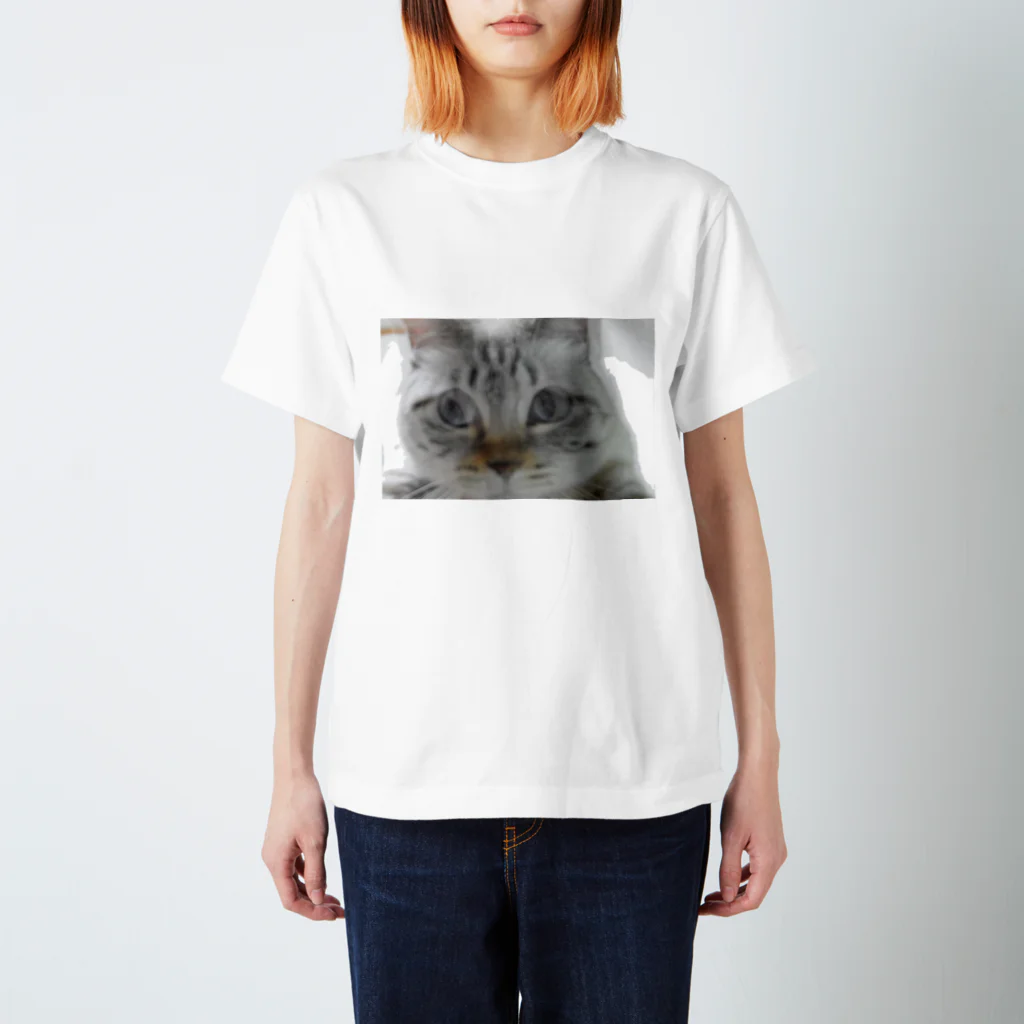 (羊虎魂)の猫・ぶれぶれ スタンダードTシャツ