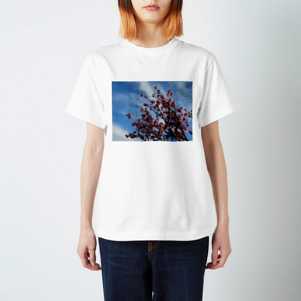 愛自然写真の桜と空と雲 スタンダードTシャツ