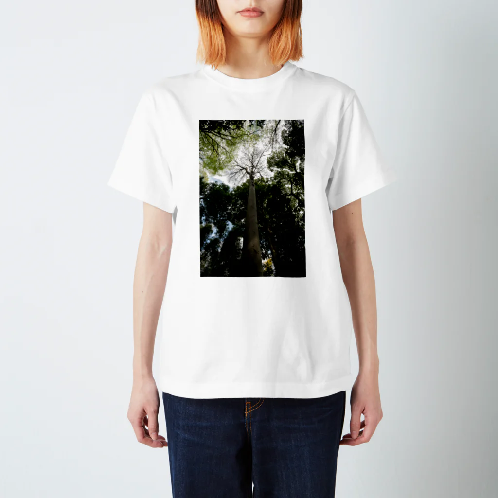 treeseekの見上げればTシャツ Regular Fit T-Shirt