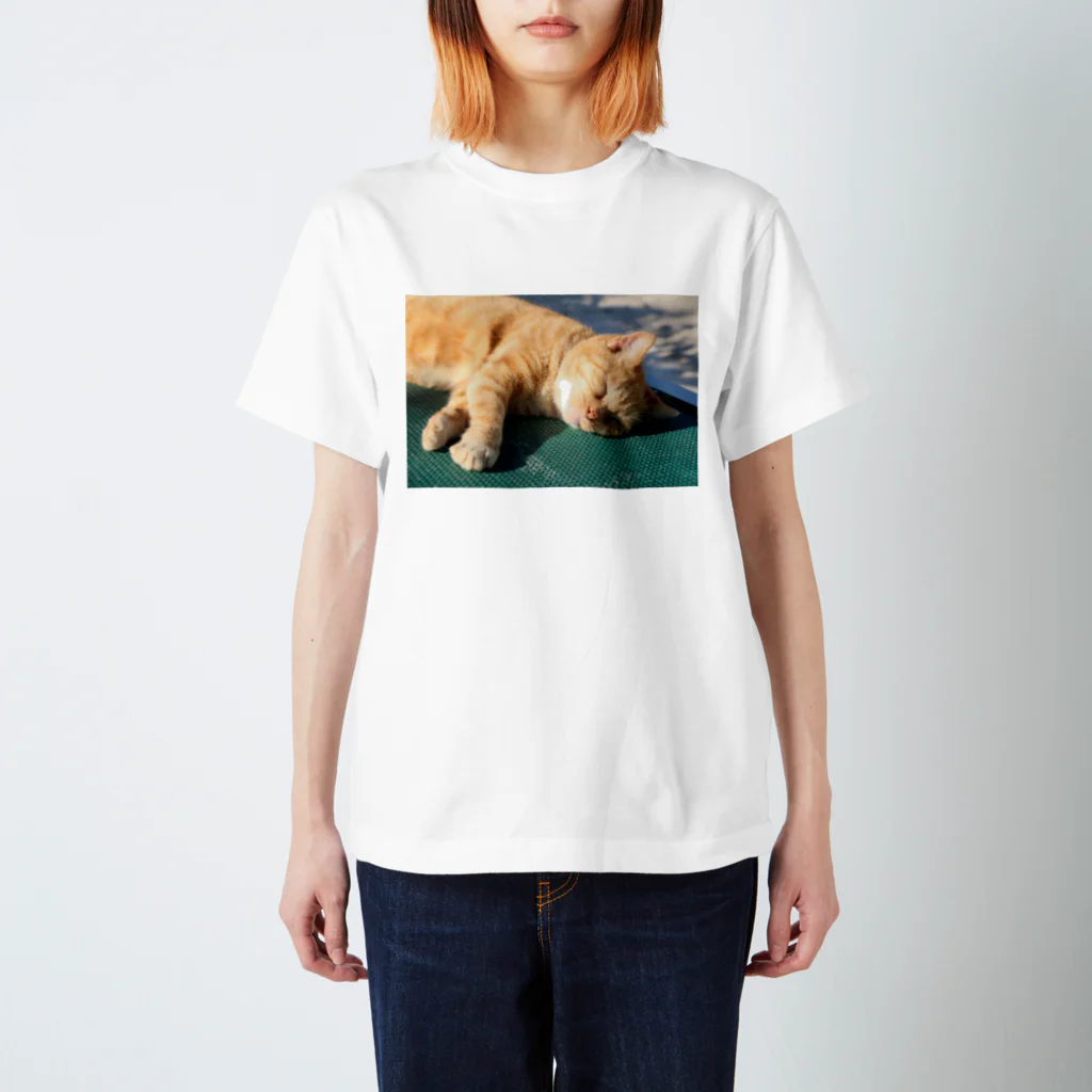 AI生成画像・風景・小物の写真をグッズにしてみましたのおやすみ中のにゃんこ スタンダードTシャツ