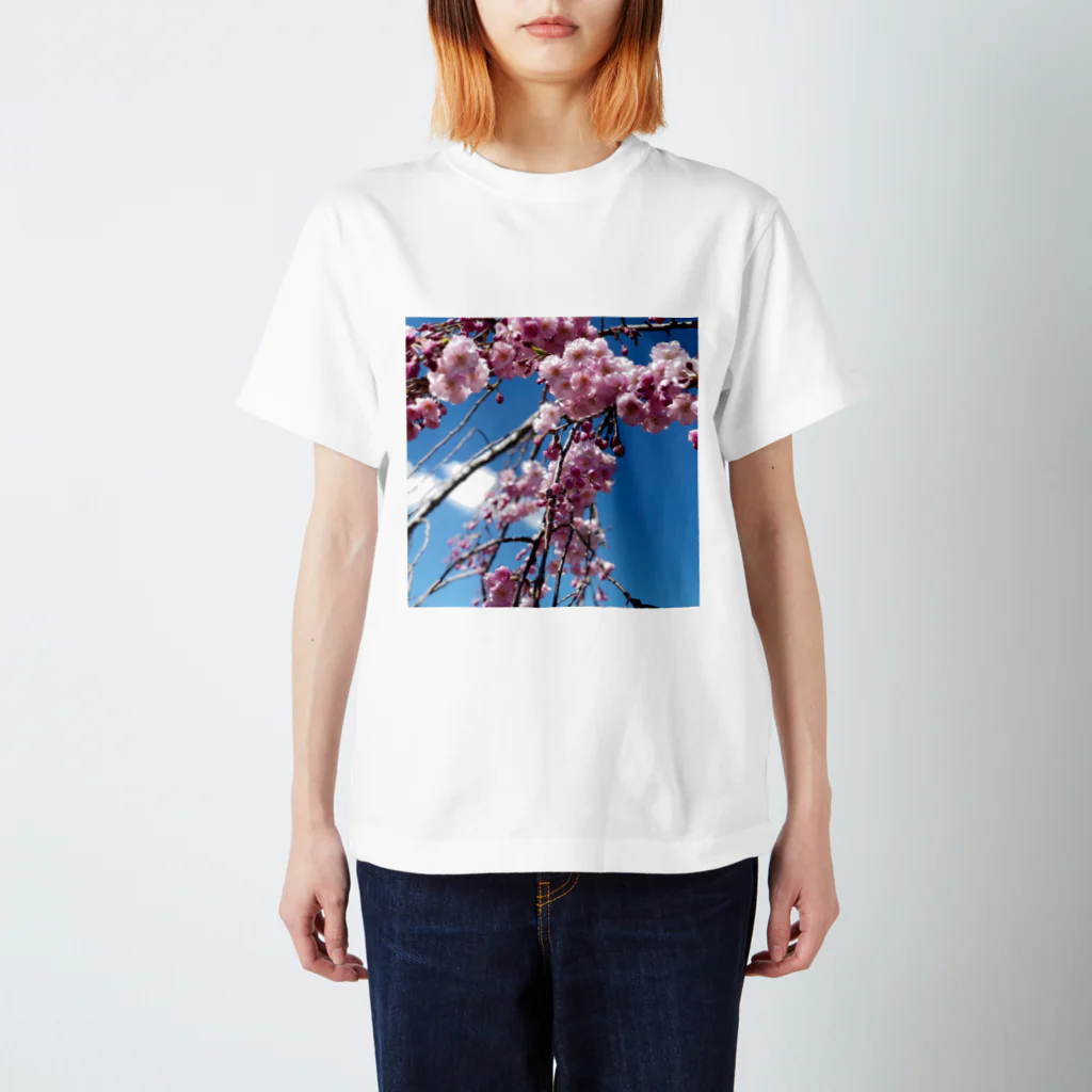 金欠ちゃんの桜！ Regular Fit T-Shirt