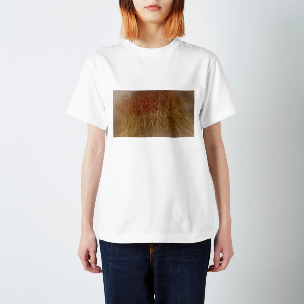 吾妻のぶりーちくん Regular Fit T-Shirt