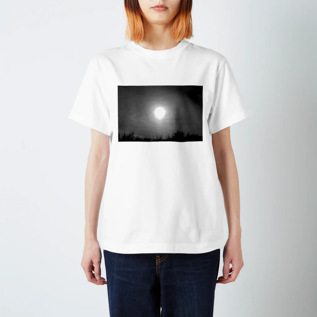 vwvwvwvvwvwwのthCey Regular Fit T-Shirt