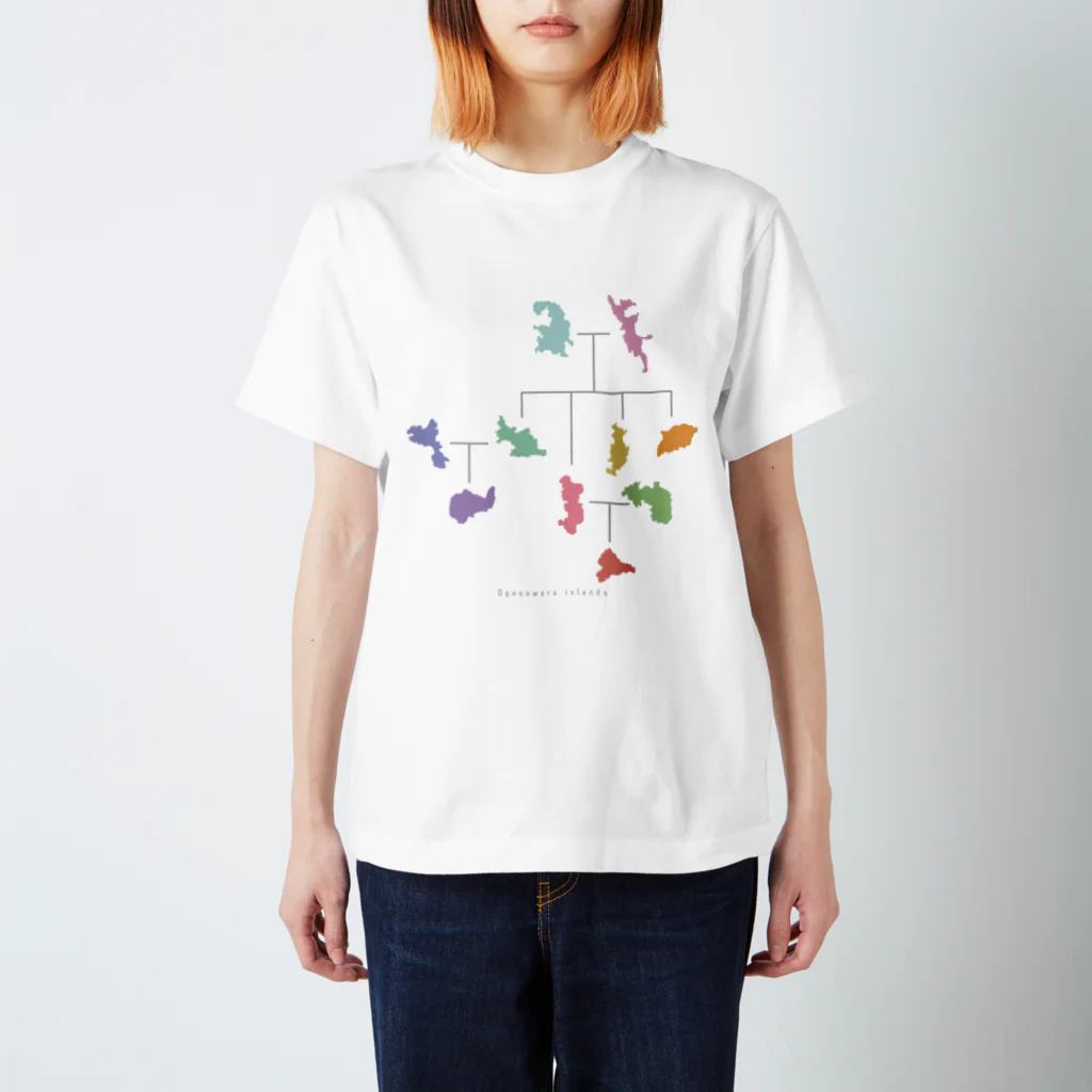 シマノカタチの小笠原家系図グッズ〈カラフル〉 スタンダードTシャツ