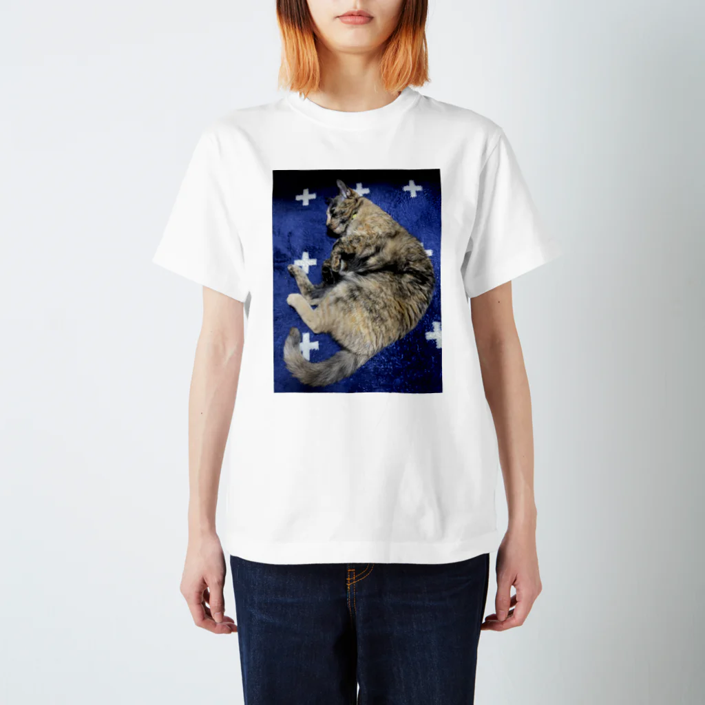 おぬしちゃんの地上に落ちたサビ猫 Regular Fit T-Shirt