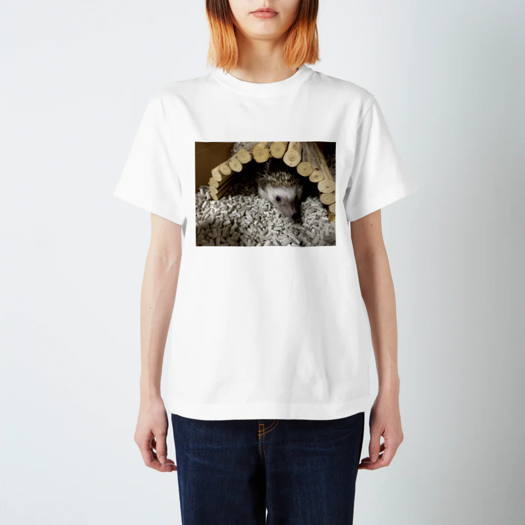 ハリネズミのむーちゃん Regular Fit T-Shirt