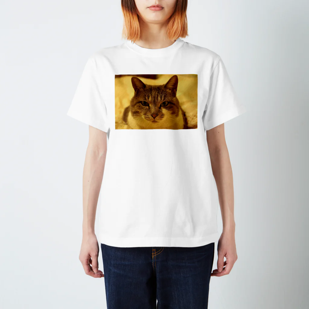 upafishのCat スクラッチフォト風 Regular Fit T-Shirt