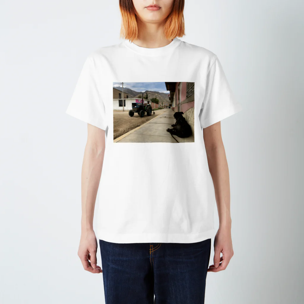 TOROと太陽のTOROとアンデス Regular Fit T-Shirt
