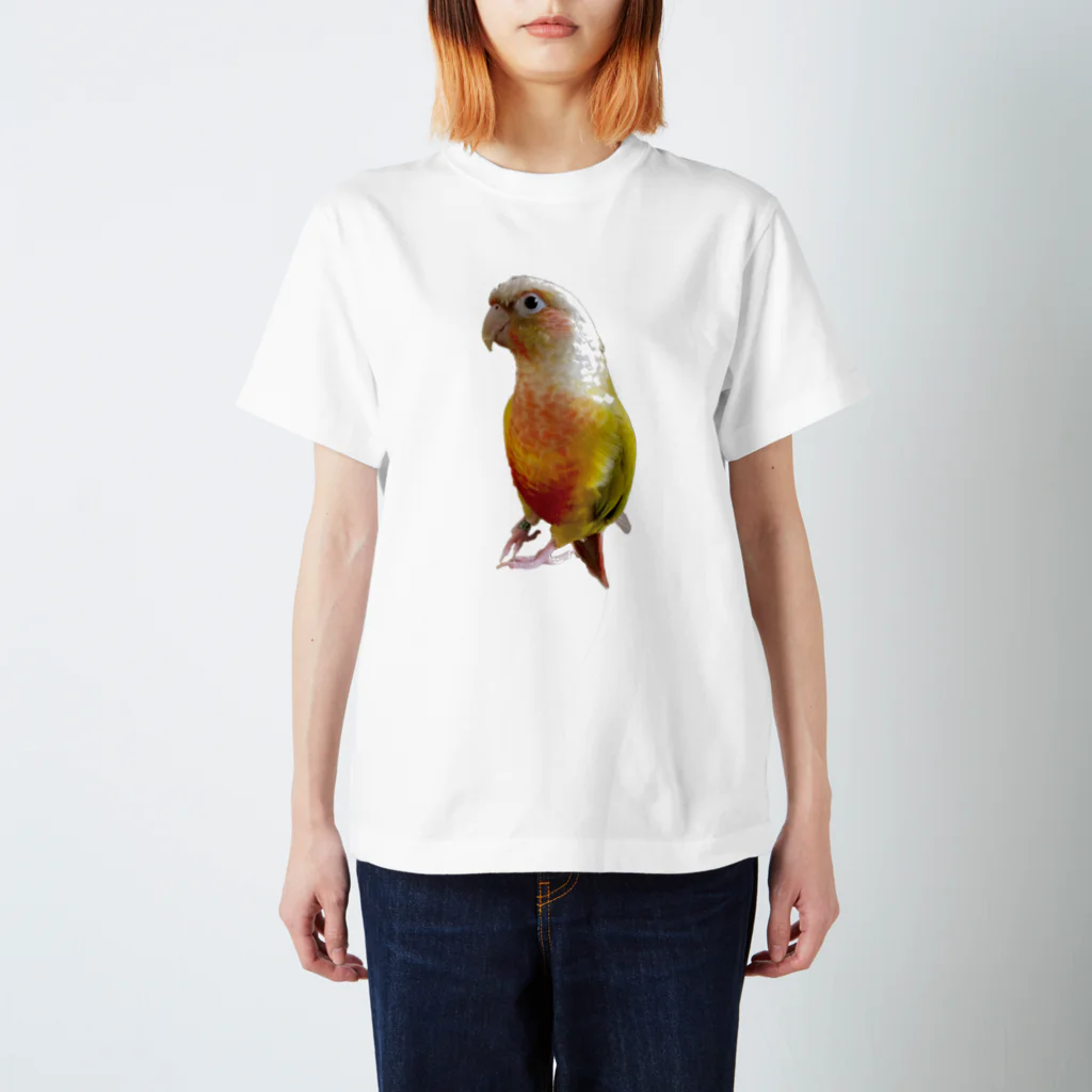 キム子商店のクイル_01（ウロコインコ） Regular Fit T-Shirt